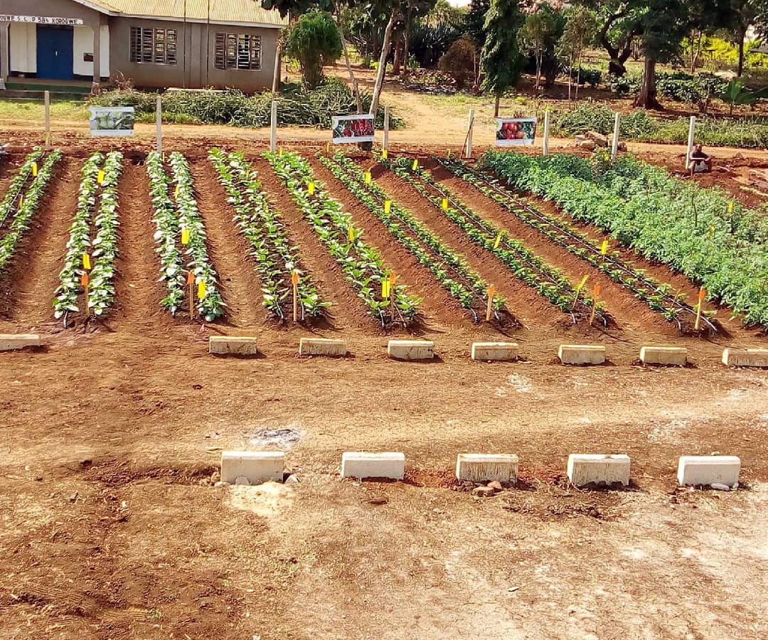 Water Management, Irrigation and Drainage Engineering and Material Supply